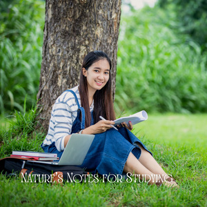 Summer Night Cricket Techno