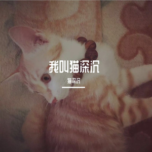 夜空中最亮的星