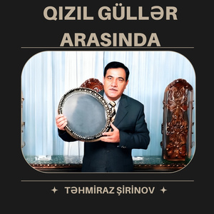 Qızılgüllər arasında