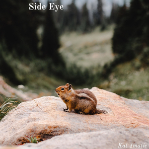Side Eye