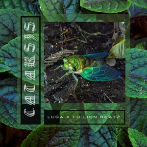 Catarsis (feat. Fu Lion Beatz)