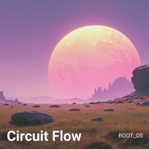 Circuit Flow