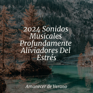 Flotando en la Soledad Inmóvil