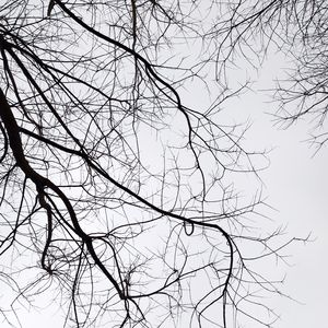 Time to love（束缚 remix）