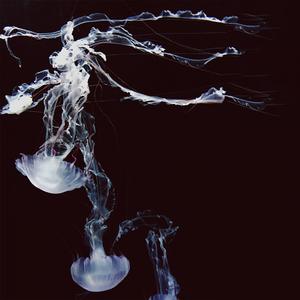 Локальная Зима 2.0