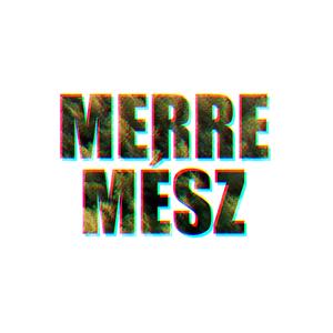 Merre mész?