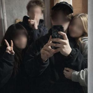 палета