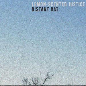 Incomprehensible Proof