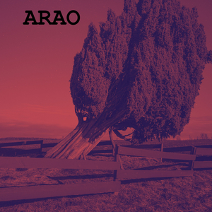 Arao