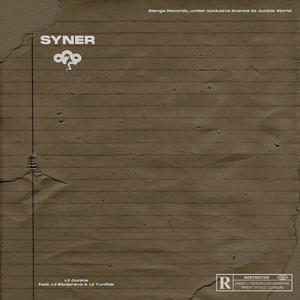 Syner (feat. Lil Blodprøve & Lil Tunfisk)