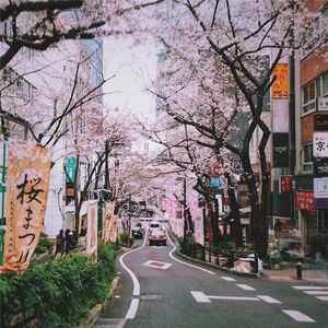 夕暮时放课后（纯音乐）