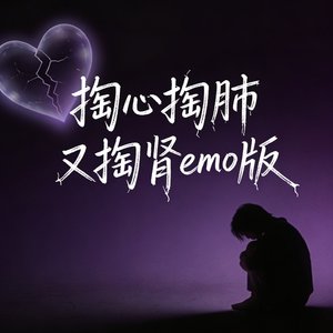 掏心掏肺又掏肾emo版