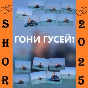 ГОНИ ГУСЕЙ!