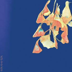 银杏舞曲（Prod.XVN）