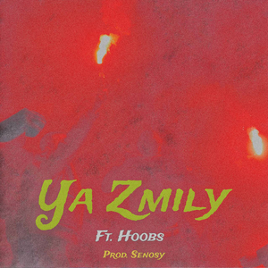 Ya Zmily