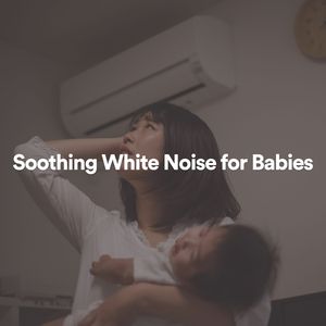 Basinet