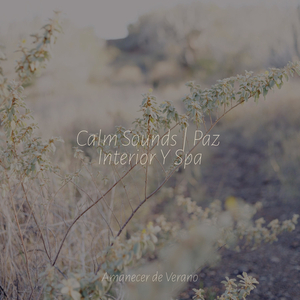 Cayendo en la Felicidad Acelerada