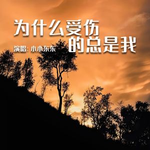 为什么受伤的总是我