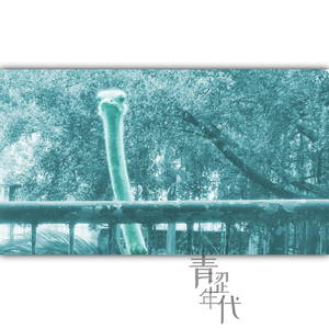 青涩年代