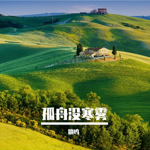 樱花坠落的十二秒