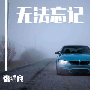 无法忘记-张瑀良