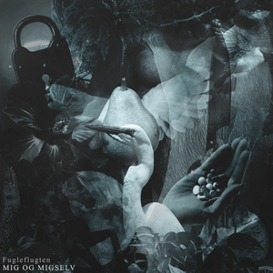 Mig Og Migselv