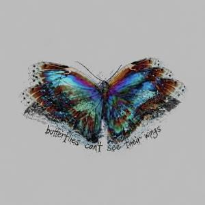 butterflies can't see their wings