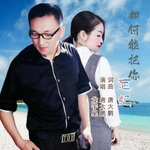 如何能把你忘记 (对唱版) - 唐大鹏、龙宇星 专辑封面
