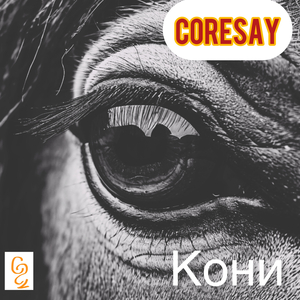 Кони