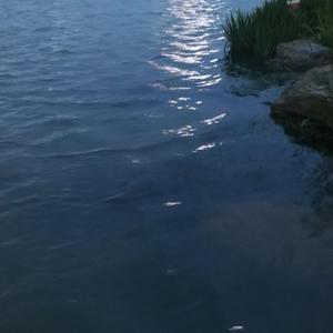 再一次邂逅（cover：蓝悠）（翻自 蓝悠FAIRY）