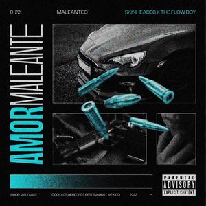 Amor Maleante (feat. The flow boy)