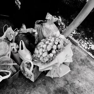 你痴迷我的痛苦（Why do you only love the pain）