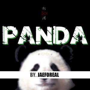 衡阳 panda remix