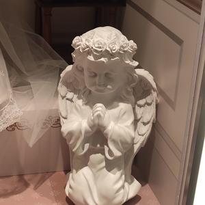 簇拥热日的花 伴奏版