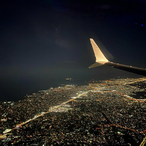 欺骗自己 (Slowed)