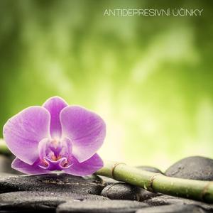 Antidepresivní účinky, Pt. 10