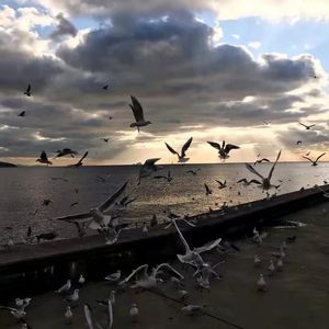 你在我眼睛里面-come（噗噗 remix）