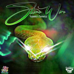 Slww Motion (feat. Double07)