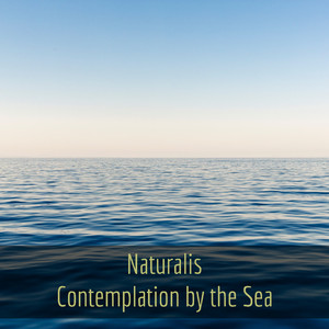 The Windy Sea and the Magic Black Clow