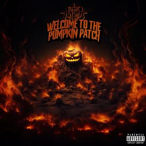 Pumpkin Patch