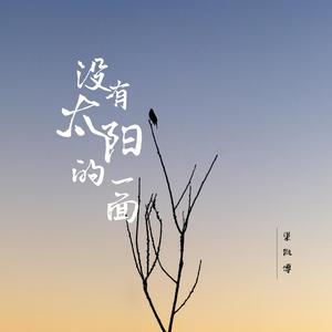 没有太阳的一面