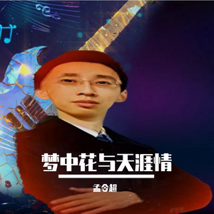 梦中花与天涯情 伴奏