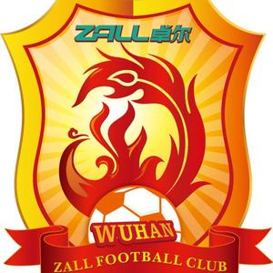 征服（卓尔版）（翻自 那英）