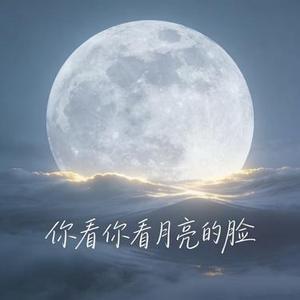 你看你看月亮的脸 (温柔男声版)