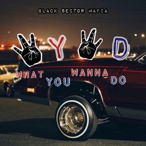 W.Y.W.D. ? (What You Wanna Do)