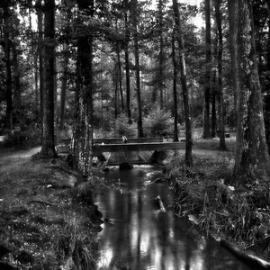 Automne (Piano et Trombone)