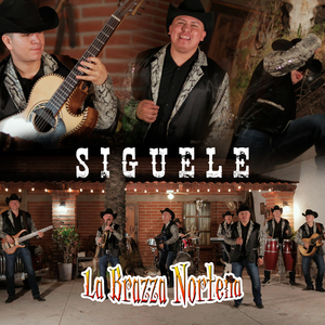 Siguele