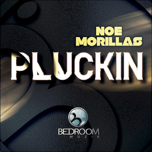 Pluckin (Original Mix)