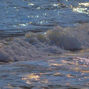 枫 2021（翻自 MBRGINT）