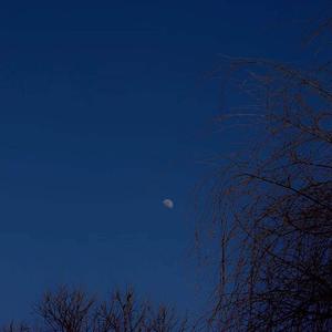 当黑暗占据光明的内心